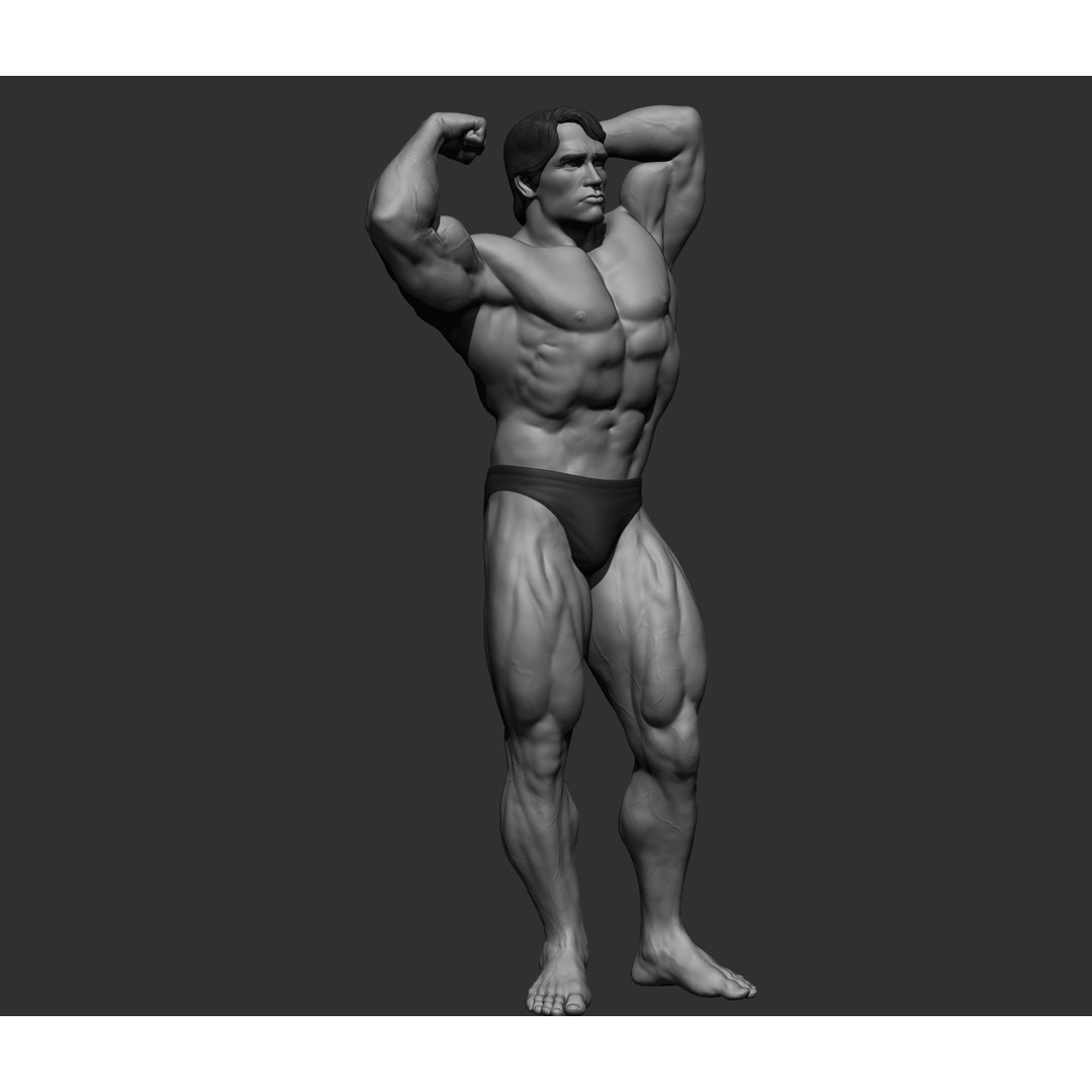 Arnold Schwarzenegger 3D Model – High Poly Character Asset, ZBrush, OBJ - View 74