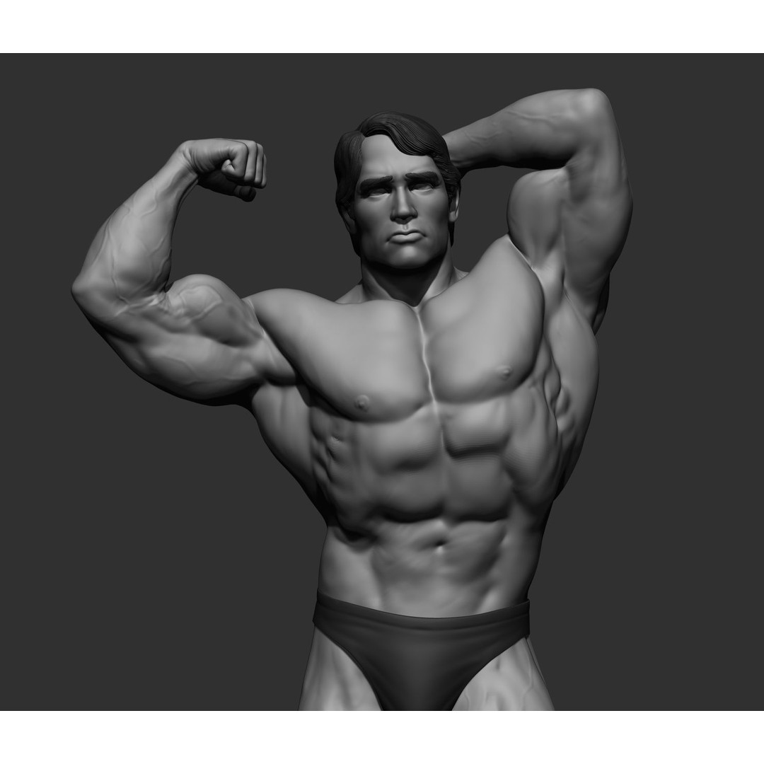 Arnold Schwarzenegger 3D Model – High Poly Character Asset, ZBrush, OBJ - View 75