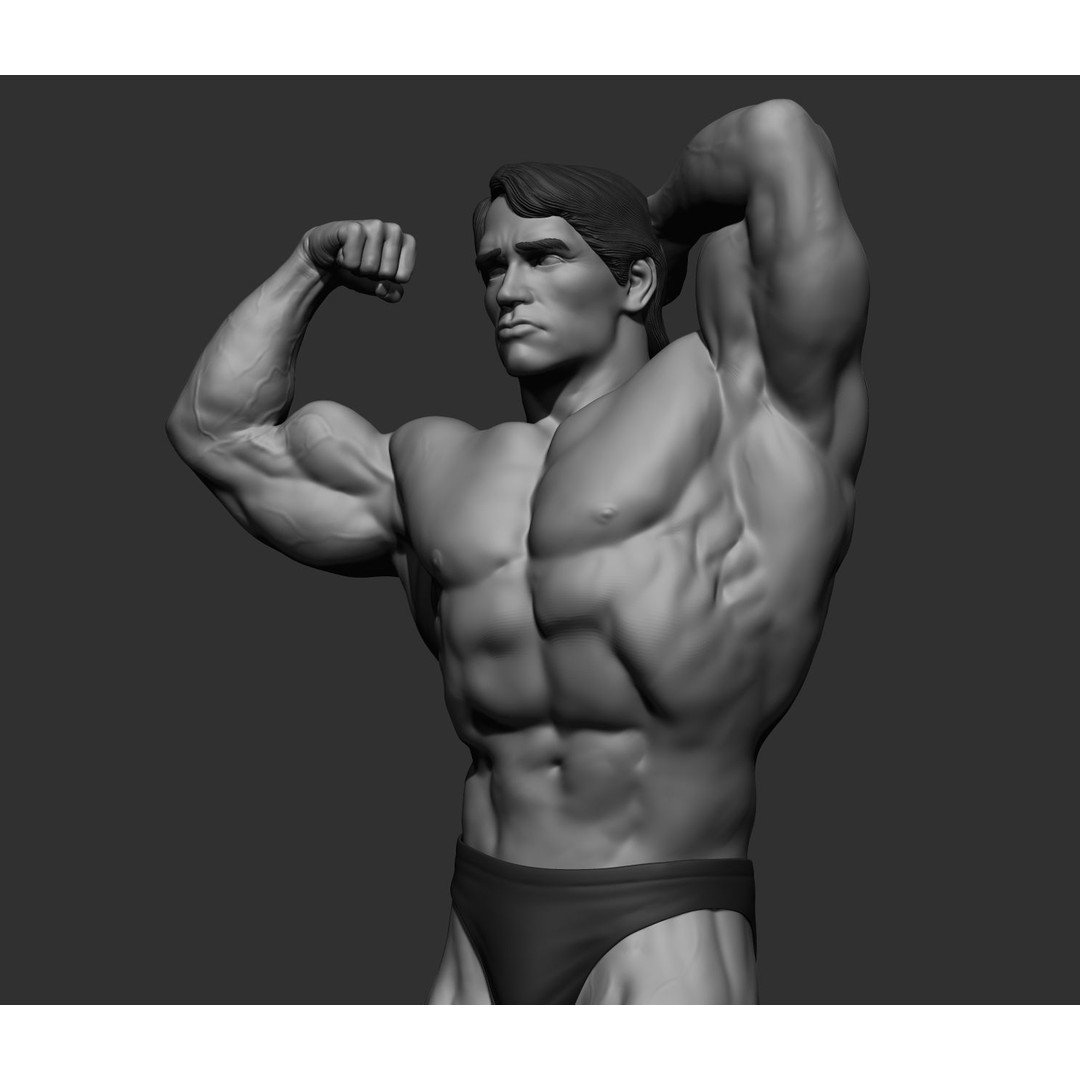Arnold Schwarzenegger 3D Model – High Poly Character Asset, ZBrush, OBJ - View 76