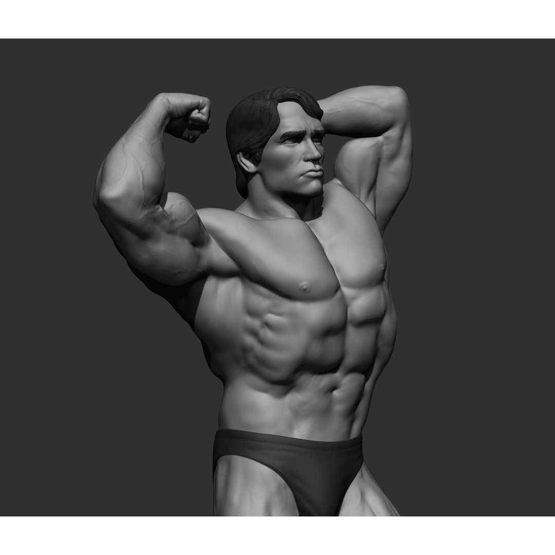 Arnold Schwarzenegger 3D Model – High Poly Character Asset, ZBrush, OBJ - View 77