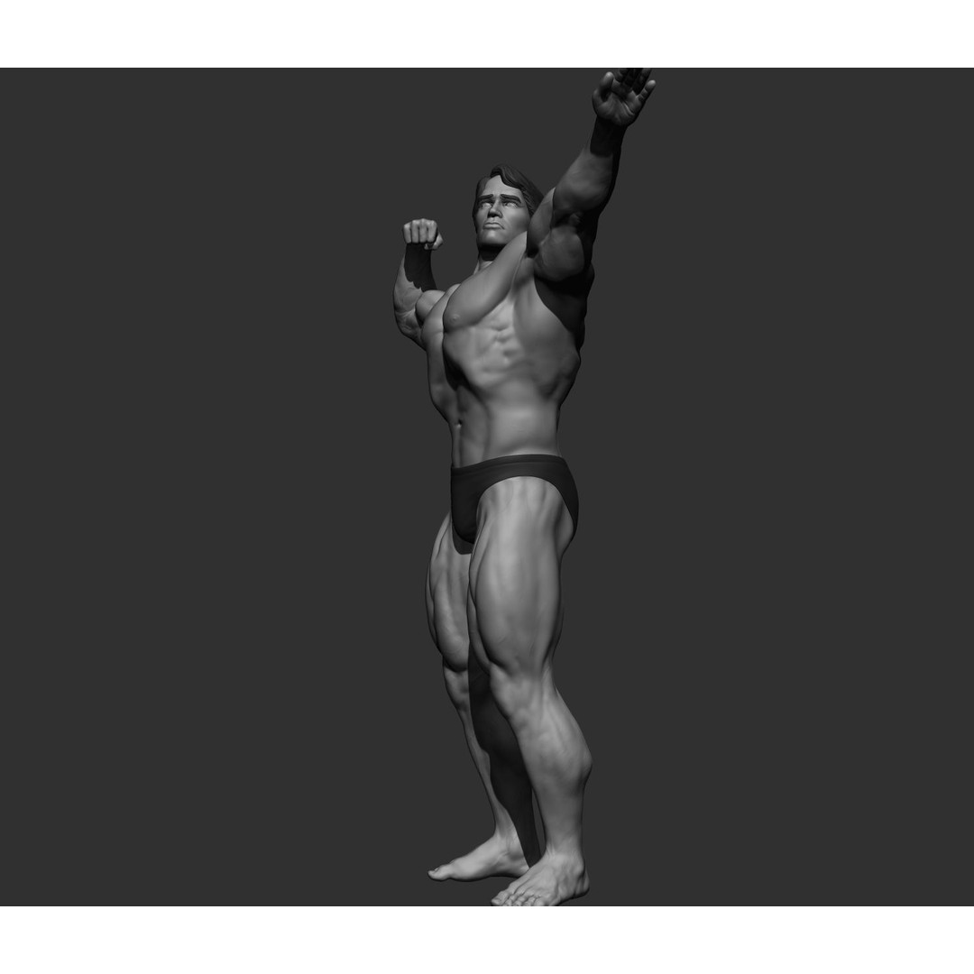 Arnold Schwarzenegger 3D Model – High Poly Character Asset, ZBrush, OBJ - View 81