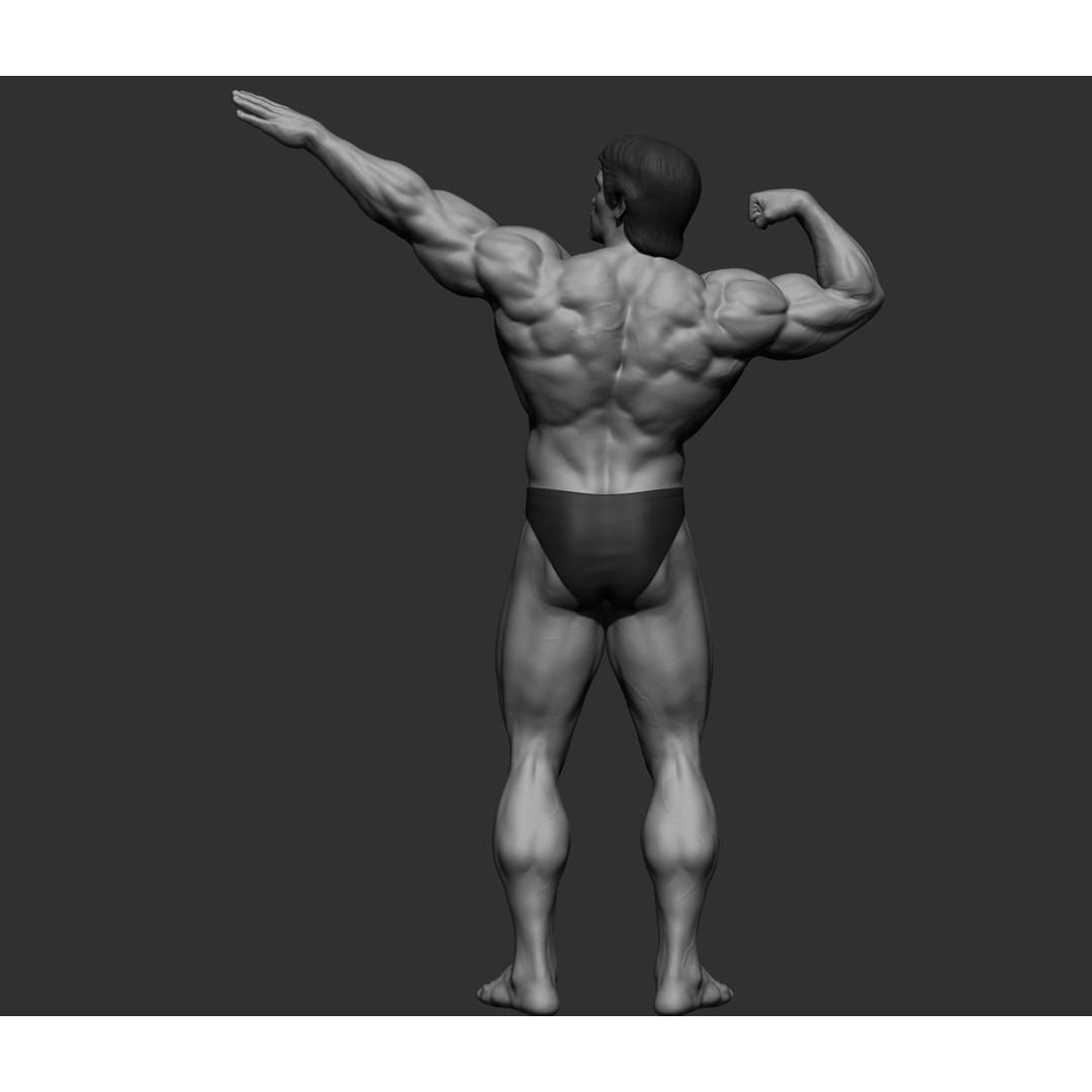 Arnold Schwarzenegger 3D Model – High Poly Character Asset, ZBrush, OBJ - View 83