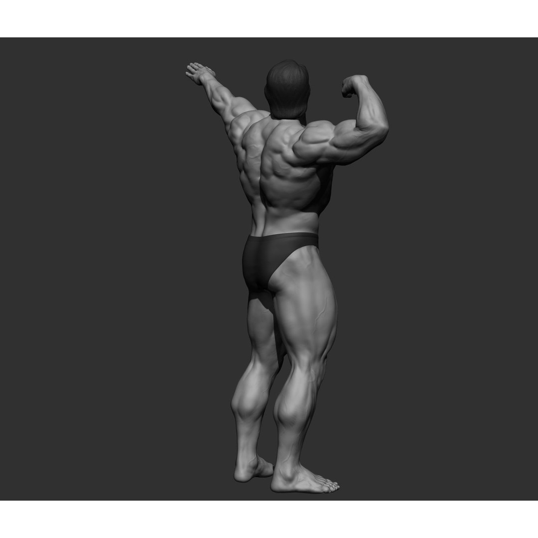 Arnold Schwarzenegger 3D Model – High Poly Character Asset, ZBrush, OBJ - View 84