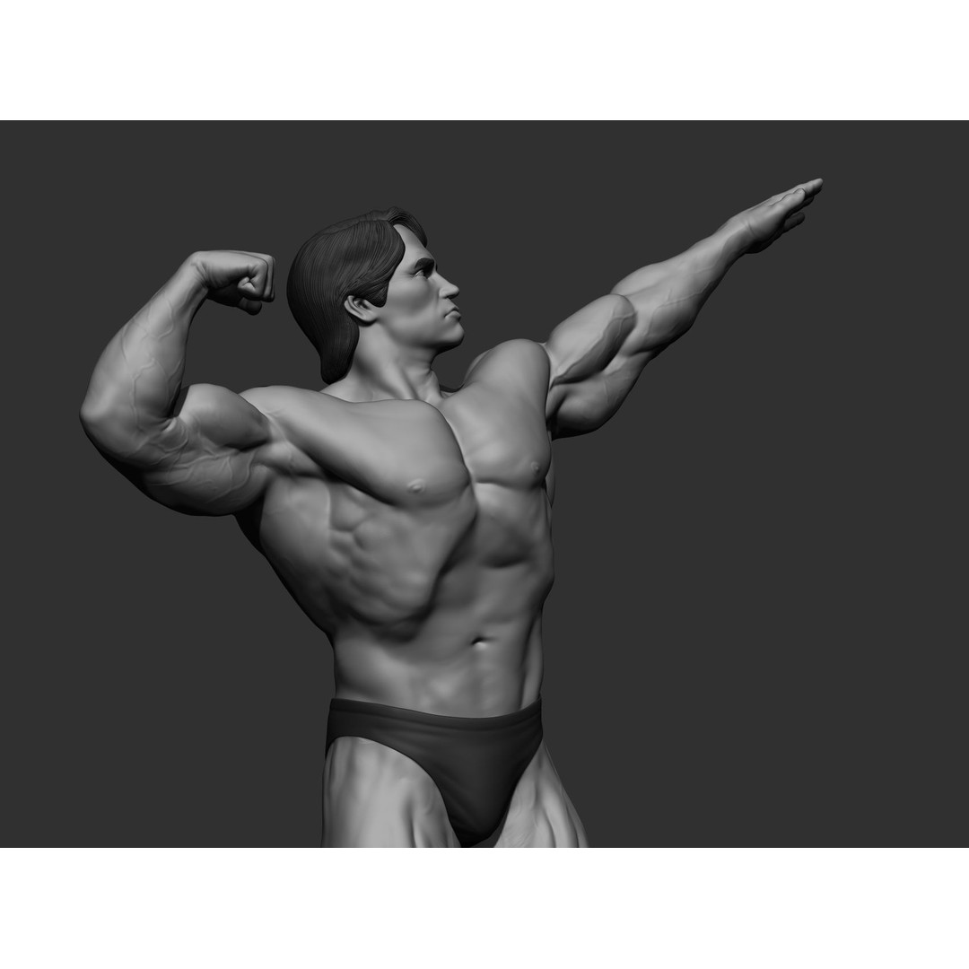 Arnold Schwarzenegger 3D Model – High Poly Character Asset, ZBrush, OBJ - View 87