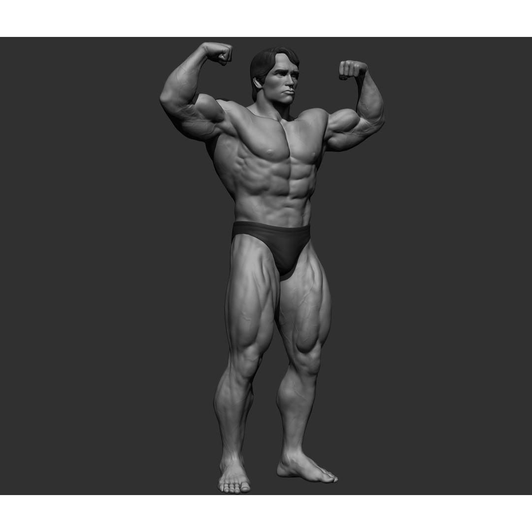 Arnold Schwarzenegger 3D Model – High Poly Character Asset, ZBrush, OBJ - View 9