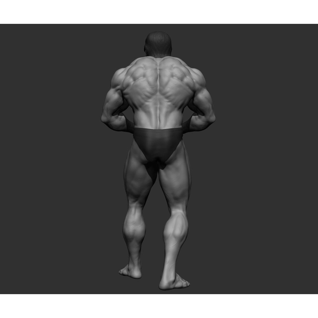 Arnold Schwarzenegger 3D Model – High Poly Character Asset, ZBrush, OBJ - View 92