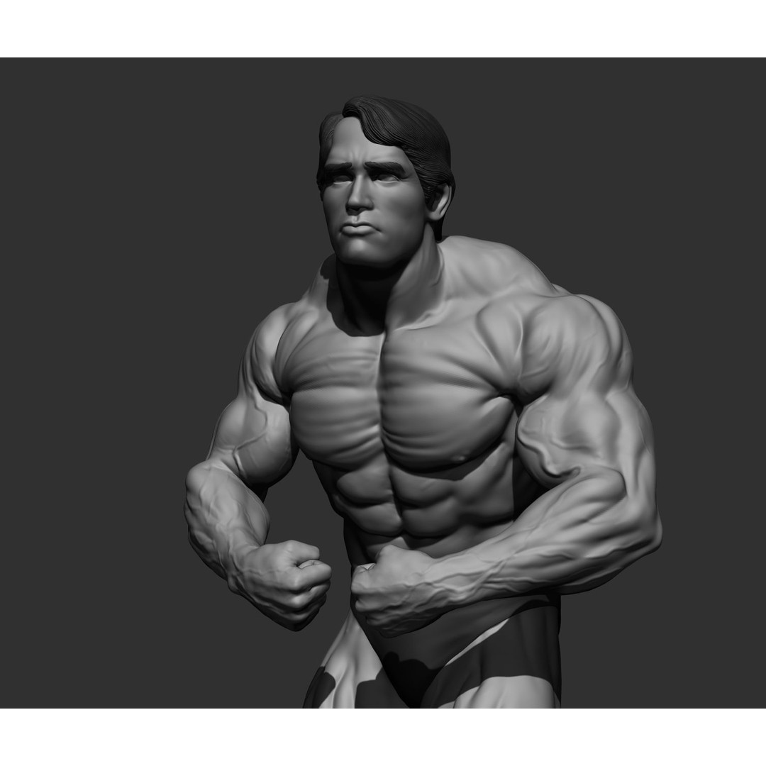 Arnold Schwarzenegger 3D Model – High Poly Character Asset, ZBrush, OBJ - View 96