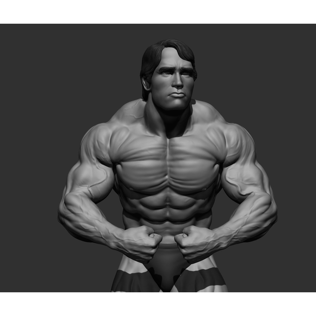 Arnold Schwarzenegger 3D Model – High Poly Character Asset, ZBrush, OBJ - View 97