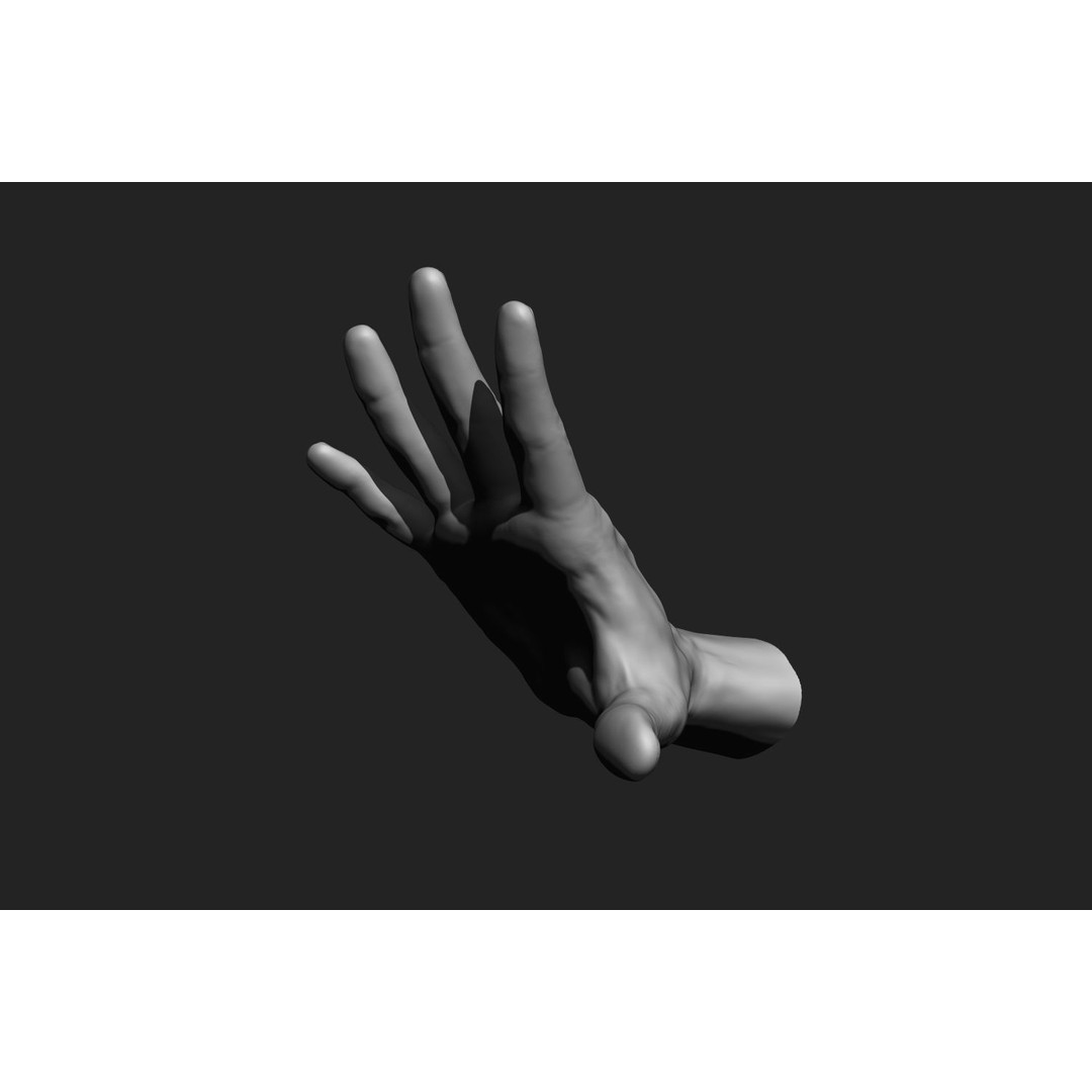 Male Hands 3D Model – Realistic Anatomical Poses, OBJ & ZTL Formats - View 10