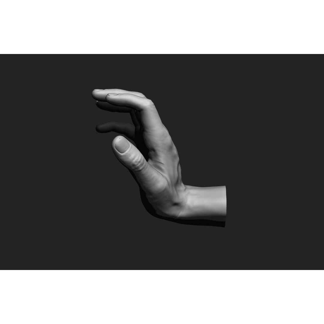 Male Hands 3D Model – Realistic Anatomical Poses, OBJ & ZTL Formats - View 11