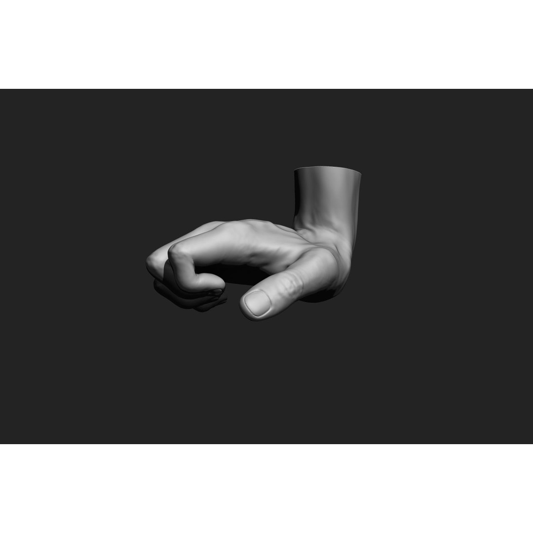 Male Hands 3D Model – Realistic Anatomical Poses, OBJ & ZTL Formats - View 12