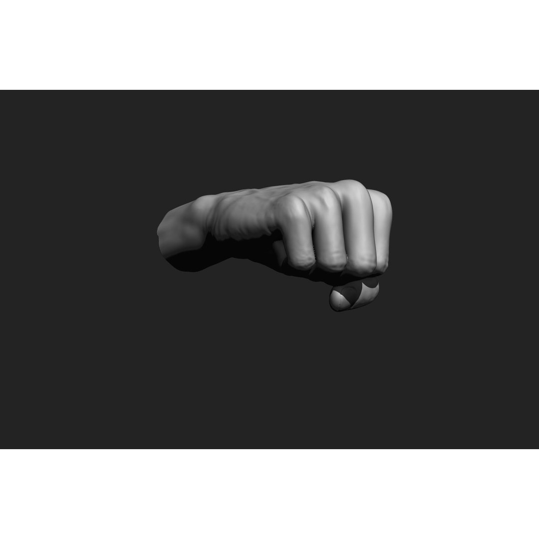 Male Hands 3D Model – Realistic Anatomical Poses, OBJ & ZTL Formats - View 15