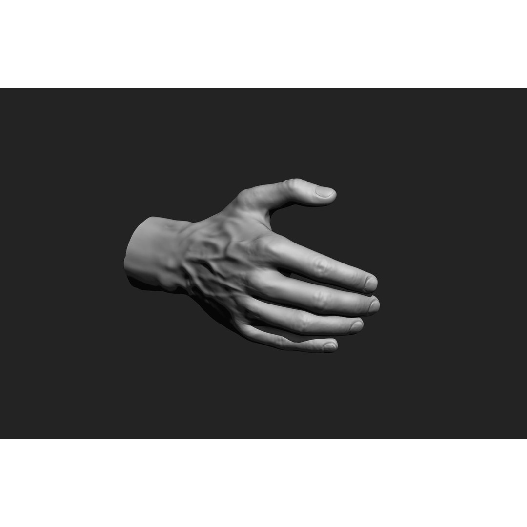 Male Hands 3D Model – Realistic Anatomical Poses, OBJ & ZTL Formats - View 16