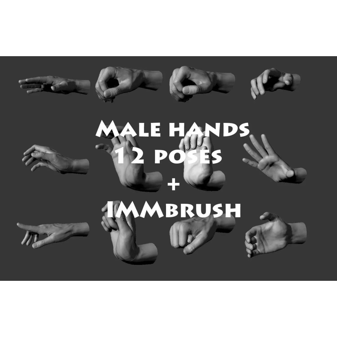 Male Hands 3D Model – Realistic Anatomical Poses, OBJ & ZTL Formats - View 2