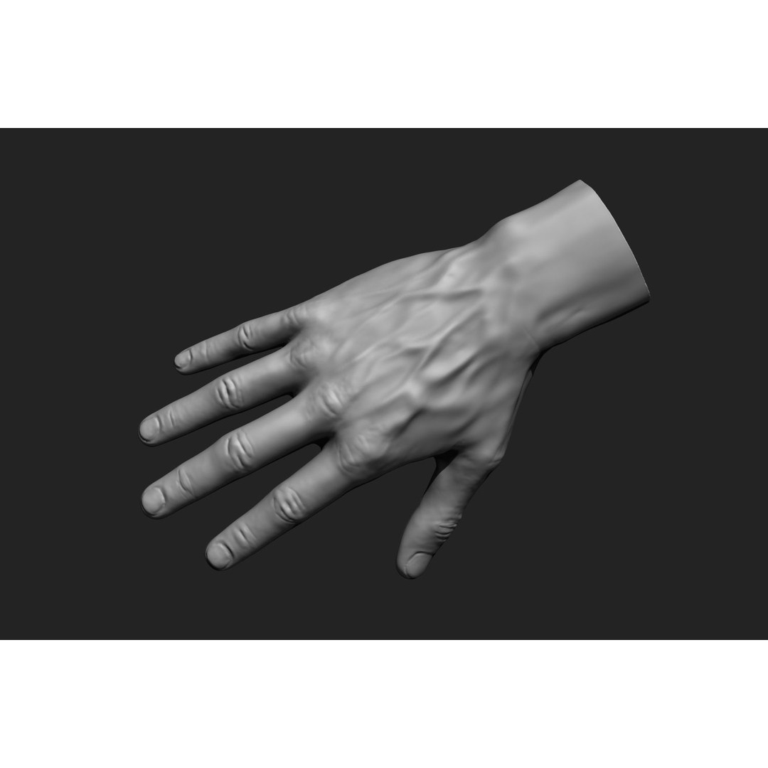 Male Hands 3D Model – Realistic Anatomical Poses, OBJ & ZTL Formats - View 6