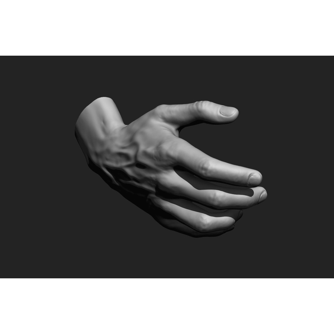 Male Hands 3D Model – Realistic Anatomical Poses, OBJ & ZTL Formats - View 8