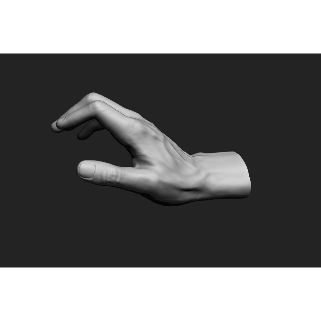 Male Hands 3D Model – Realistic Anatomical Poses, OBJ & ZTL Formats - View 9