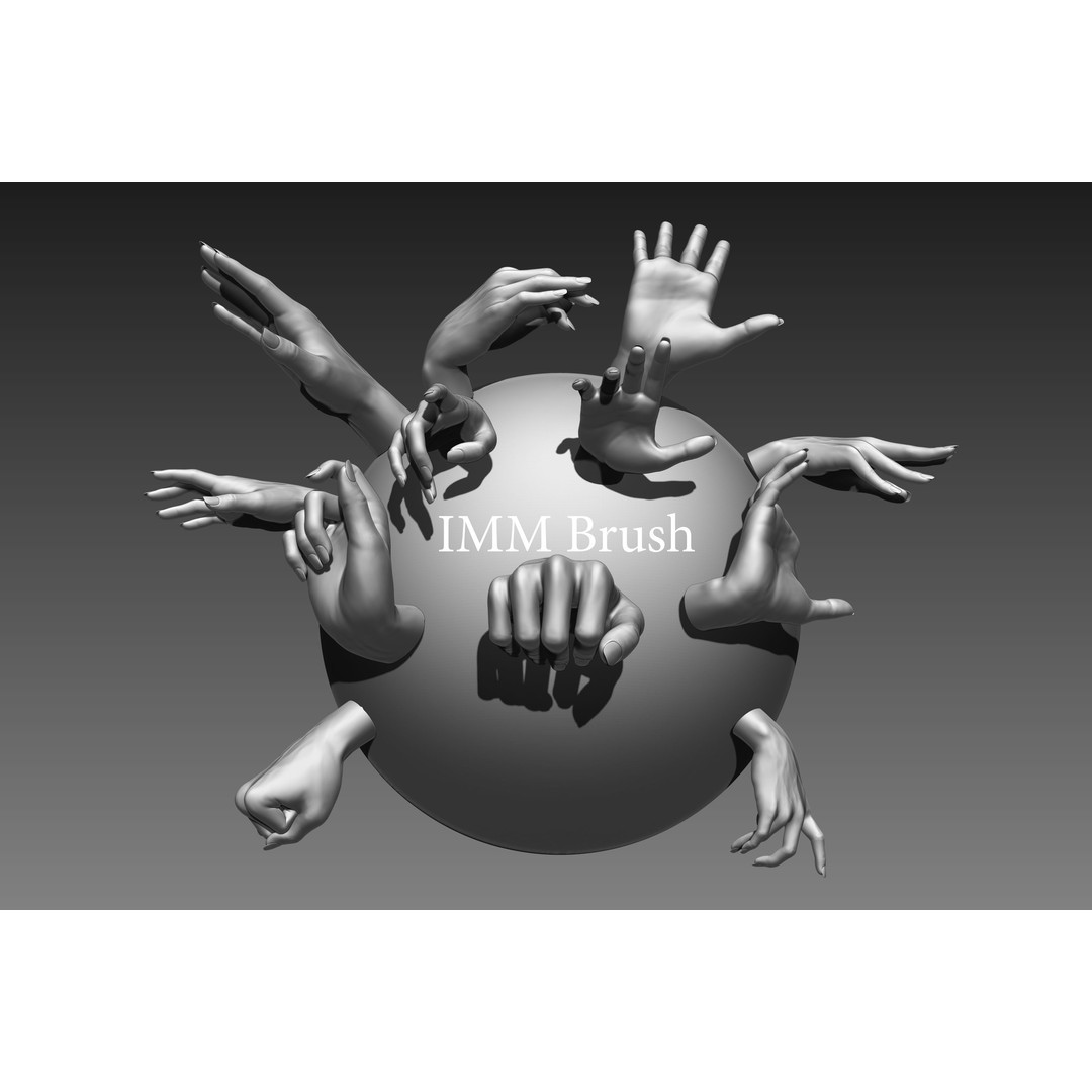 Female Hands 3D Model – Realistic Sculpt, ZTL & OBJ Formats
