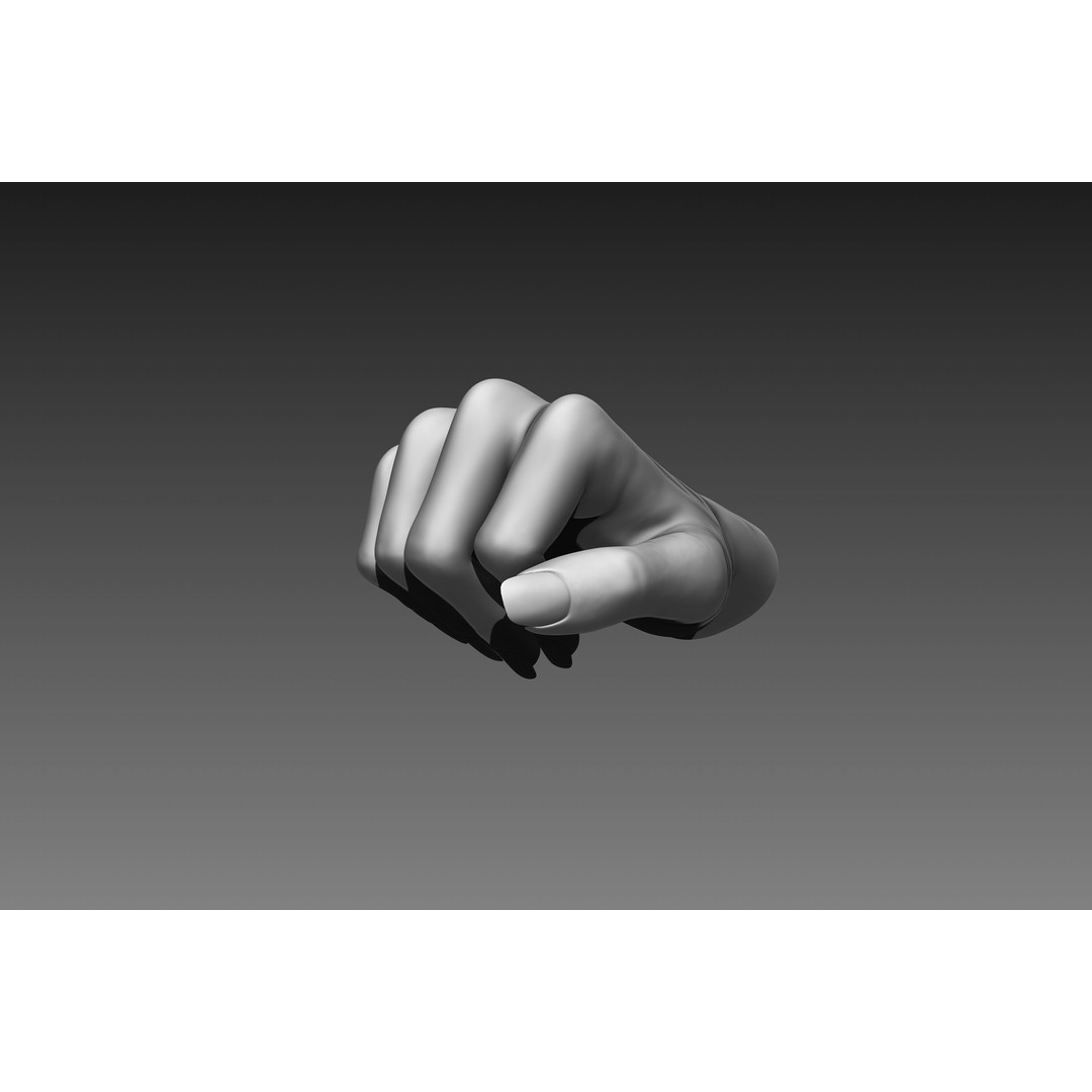Female Hands 3D Model – Realistic Sculpt, ZTL & OBJ Formats - View 10