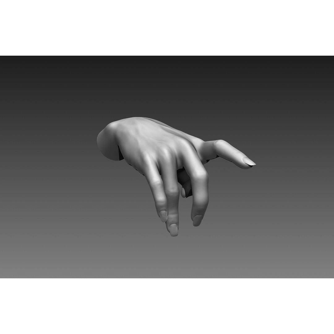 Female Hands 3D Model – Realistic Sculpt, ZTL & OBJ Formats - View 11