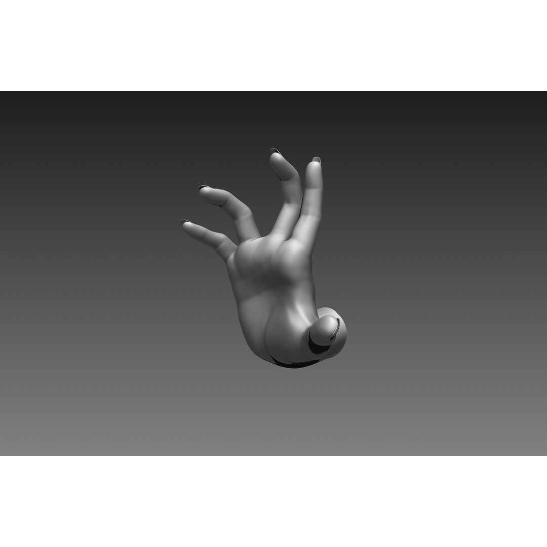Female Hands 3D Model – Realistic Sculpt, ZTL & OBJ Formats - View 12