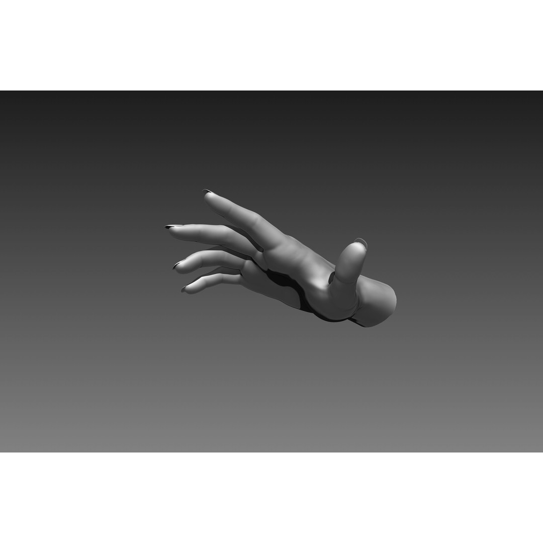 Female Hands 3D Model – Realistic Sculpt, ZTL & OBJ Formats - View 14