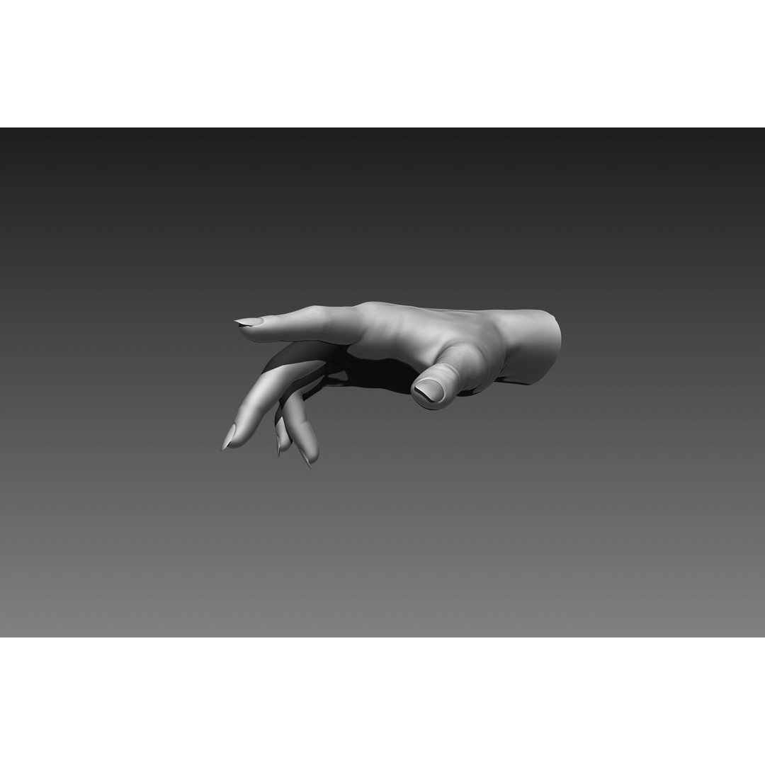 Female Hands 3D Model – Realistic Sculpt, ZTL & OBJ Formats - View 15