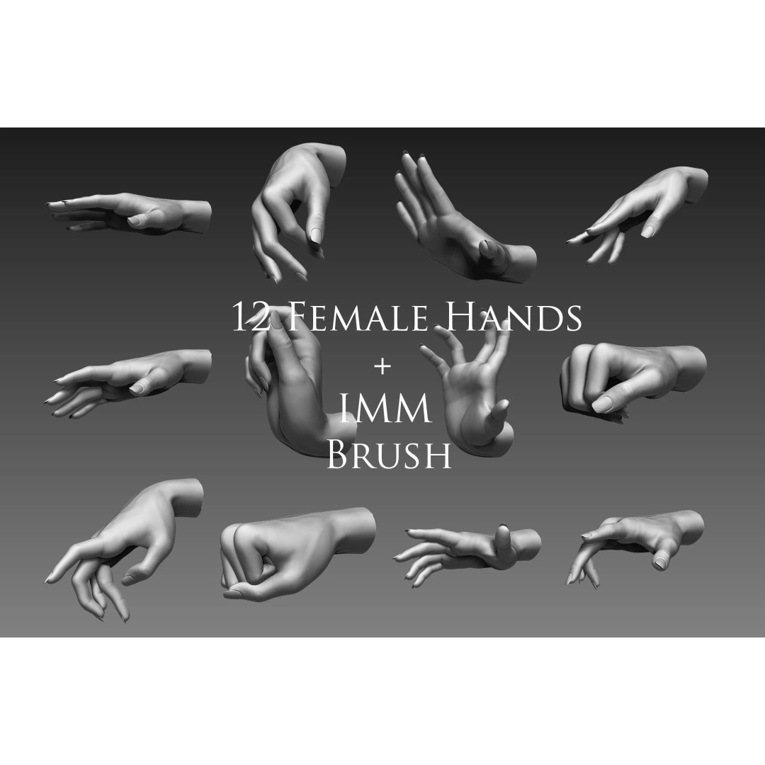 Female Hands 3D Model – Realistic Sculpt, ZTL & OBJ Formats - View 2