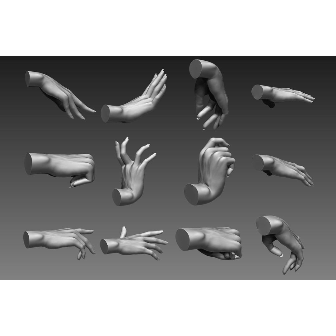 Female Hands 3D Model – Realistic Sculpt, ZTL & OBJ Formats - View 3