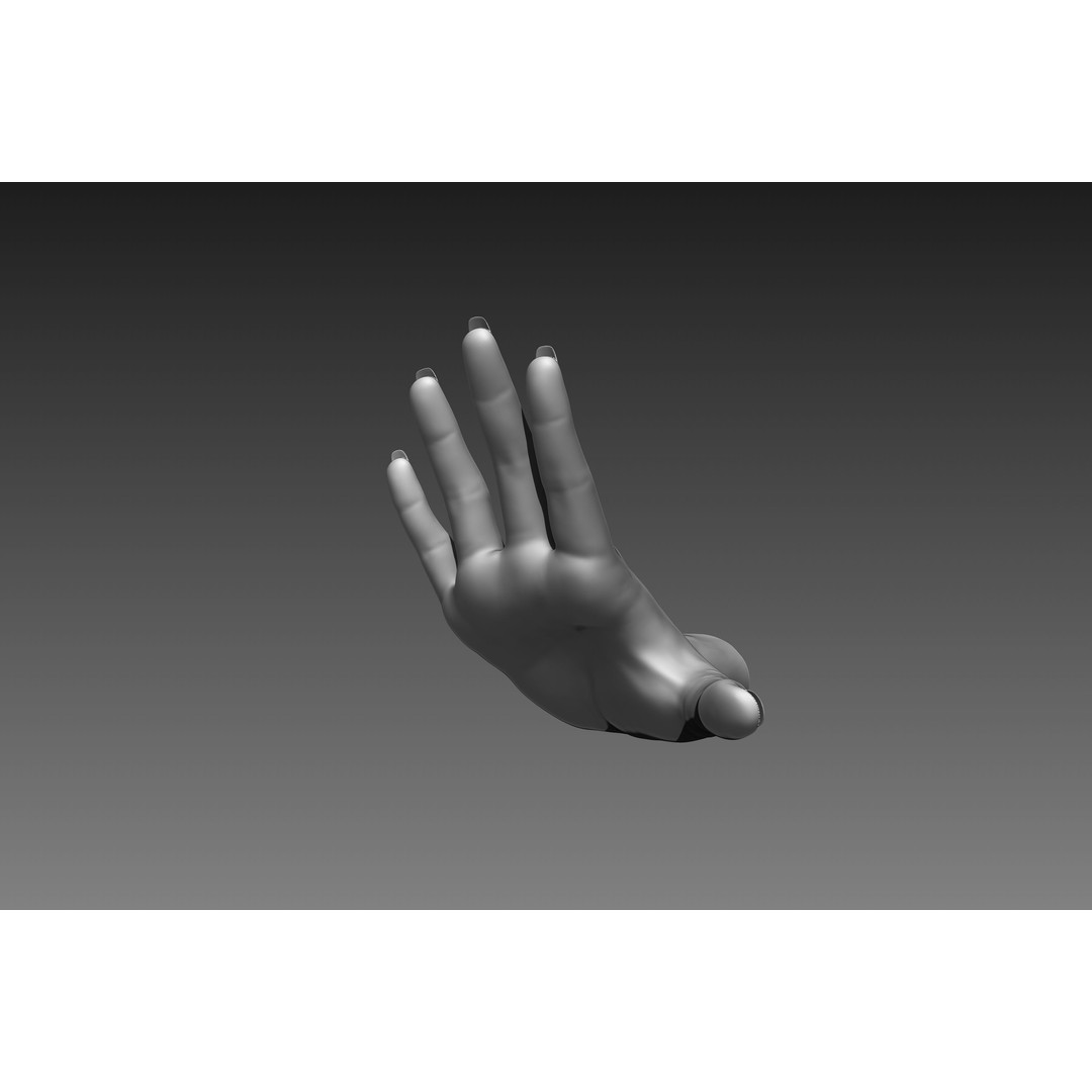 Female Hands 3D Model – Realistic Sculpt, ZTL & OBJ Formats - View 4