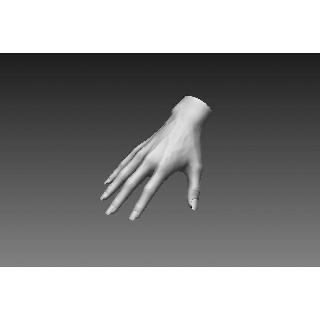 Female Hands 3D Model – Realistic Sculpt, ZTL & OBJ Formats - View 5