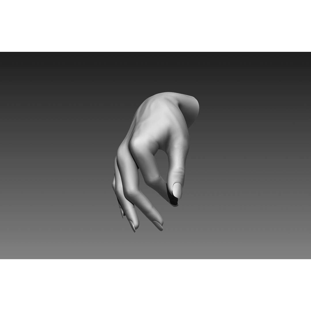 Female Hands 3D Model – Realistic Sculpt, ZTL & OBJ Formats - View 6