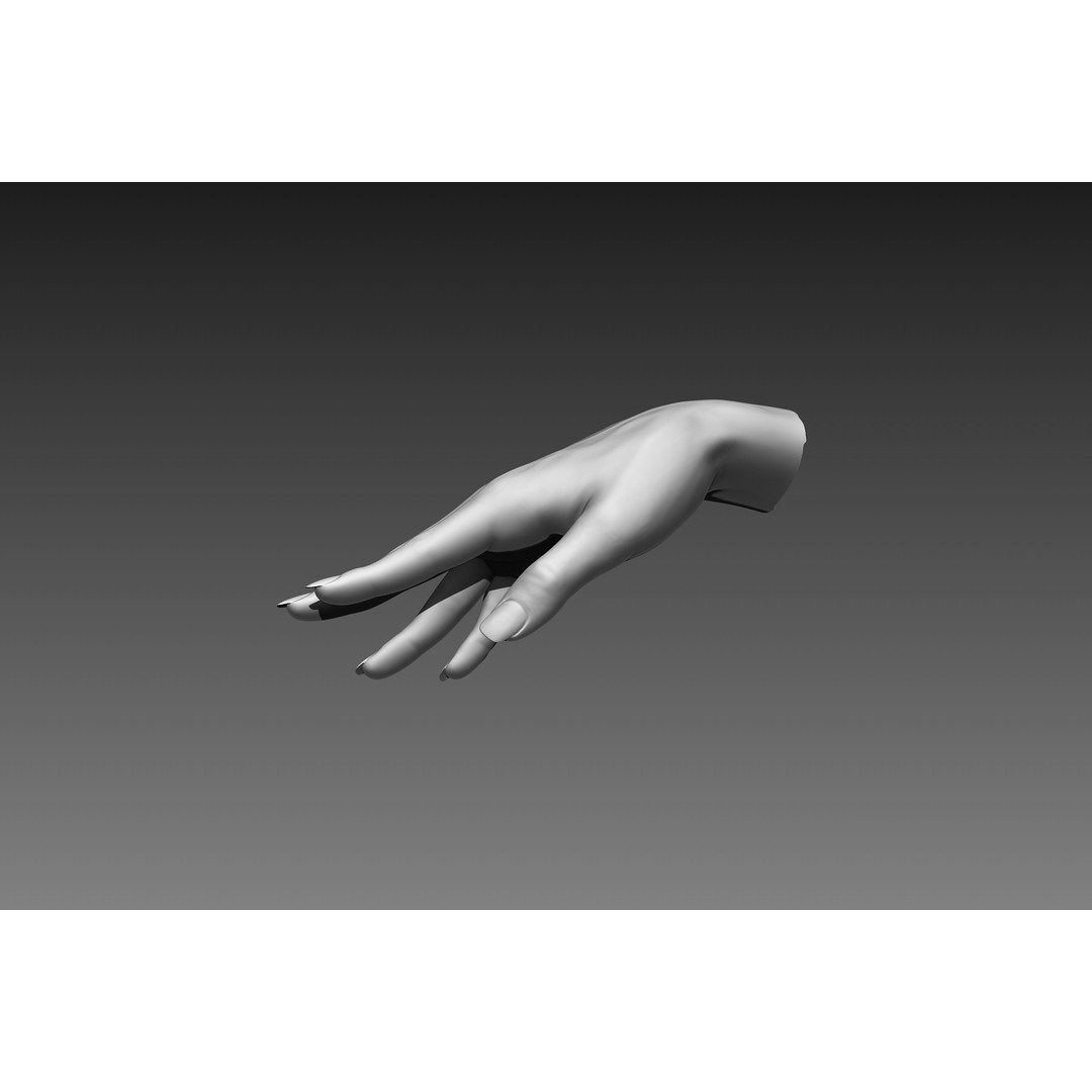 Female Hands 3D Model – Realistic Sculpt, ZTL & OBJ Formats - View 7