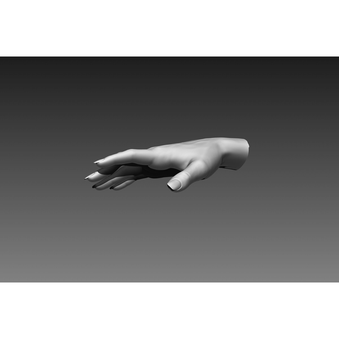 Female Hands 3D Model – Realistic Sculpt, ZTL & OBJ Formats - View 8