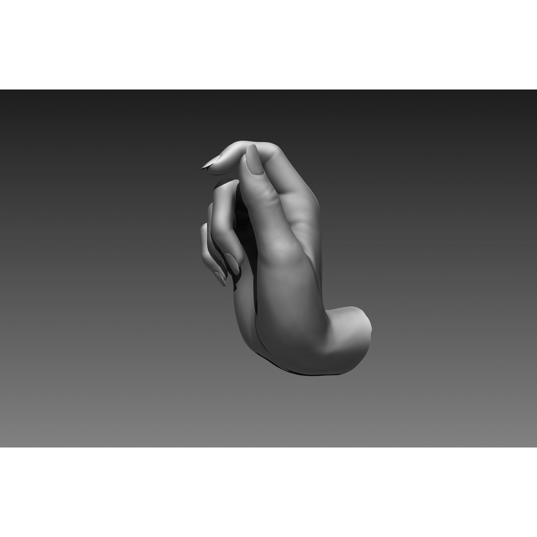 Female Hands 3D Model – Realistic Sculpt, ZTL & OBJ Formats - View 9