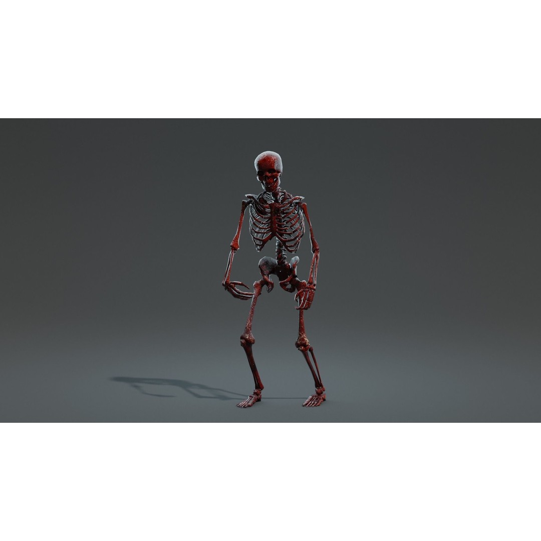 Human Skeleton 3D Model – Low Poly Game Asset, Rigged with PBR Textures - View 12