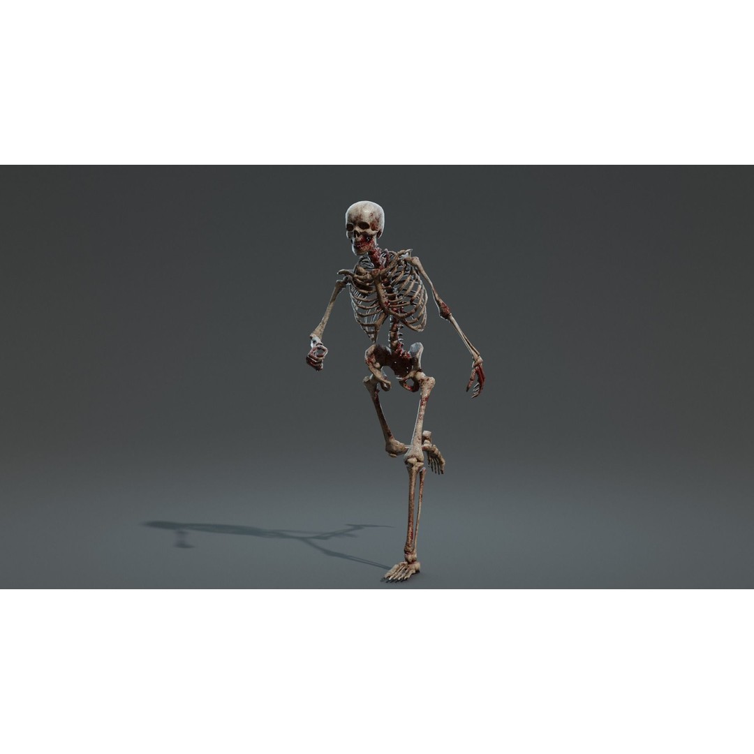 Human Skeleton 3D Model – Low Poly Game Asset, Rigged with PBR Textures - View 13