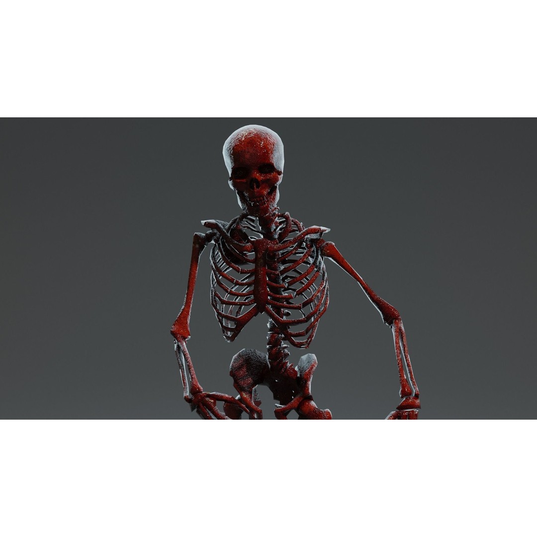 Human Skeleton 3D Model – Low Poly Game Asset, Rigged with PBR Textures - View 14