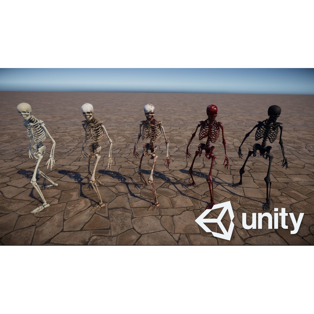 Human Skeleton 3D Model – Low Poly Game Asset, Rigged with PBR Textures - View 17