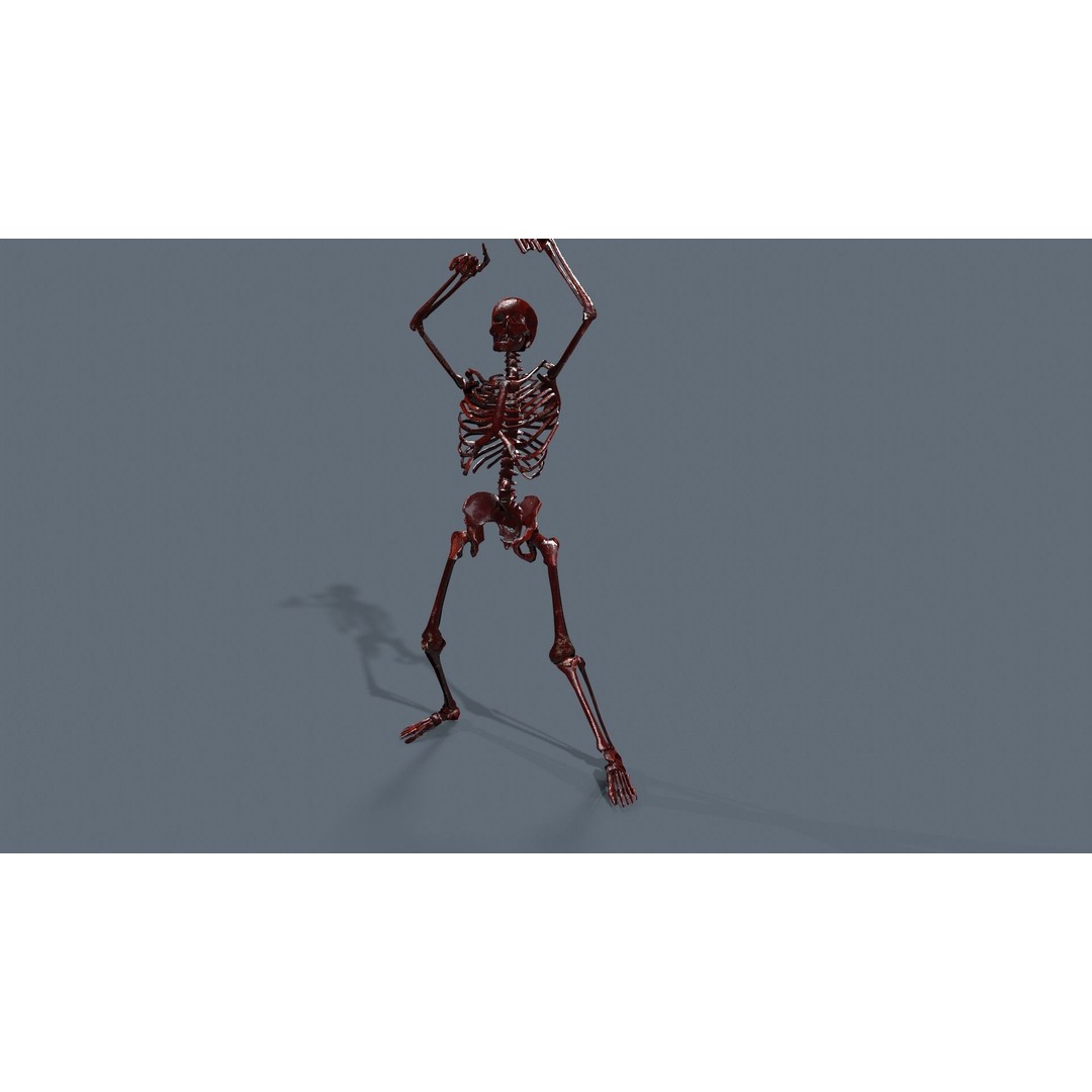 Human Skeleton 3D Model – Low Poly Game Asset, Rigged with PBR Textures - View 18