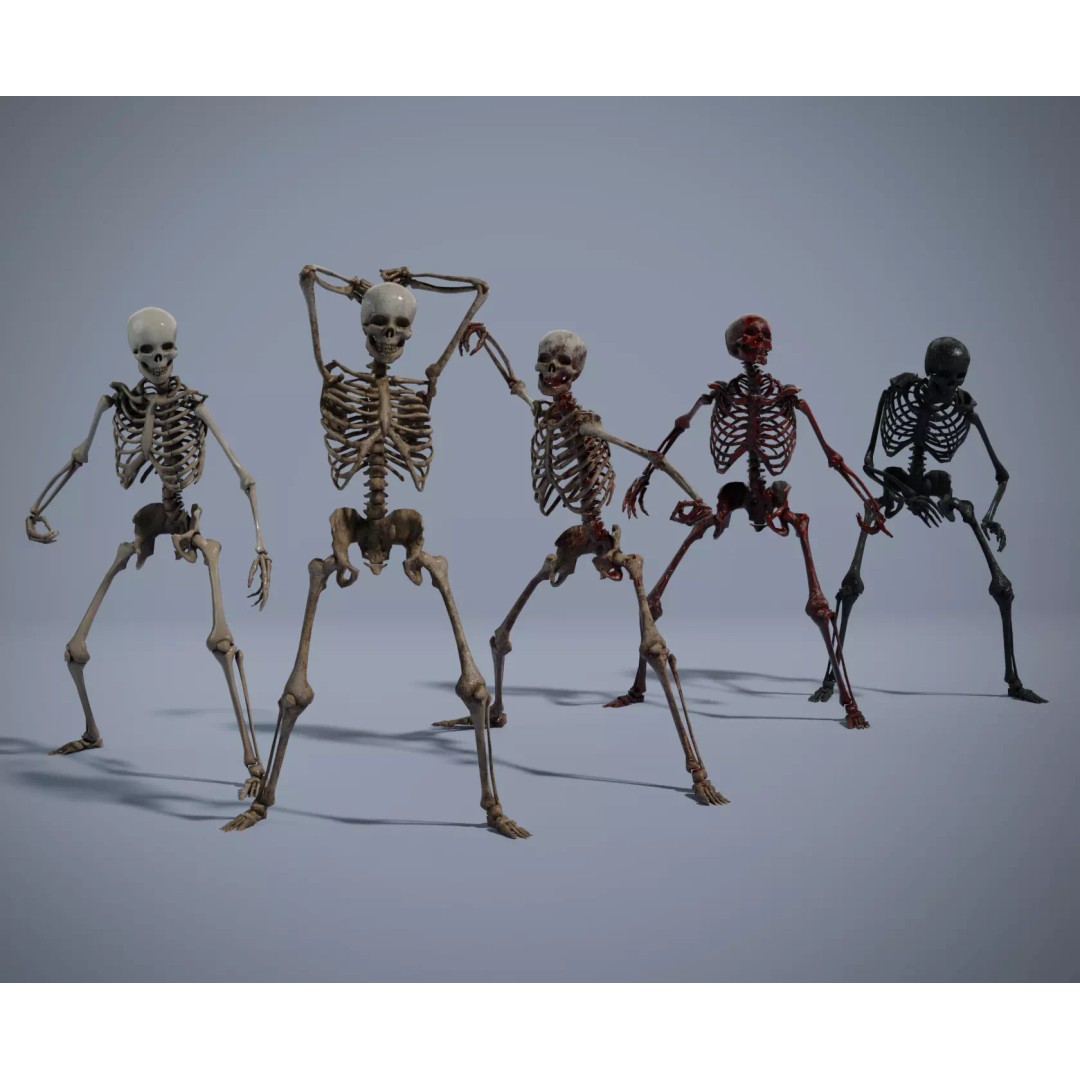 Human Skeleton 3D Model – Low Poly Game Asset, Rigged with PBR Textures - View 2