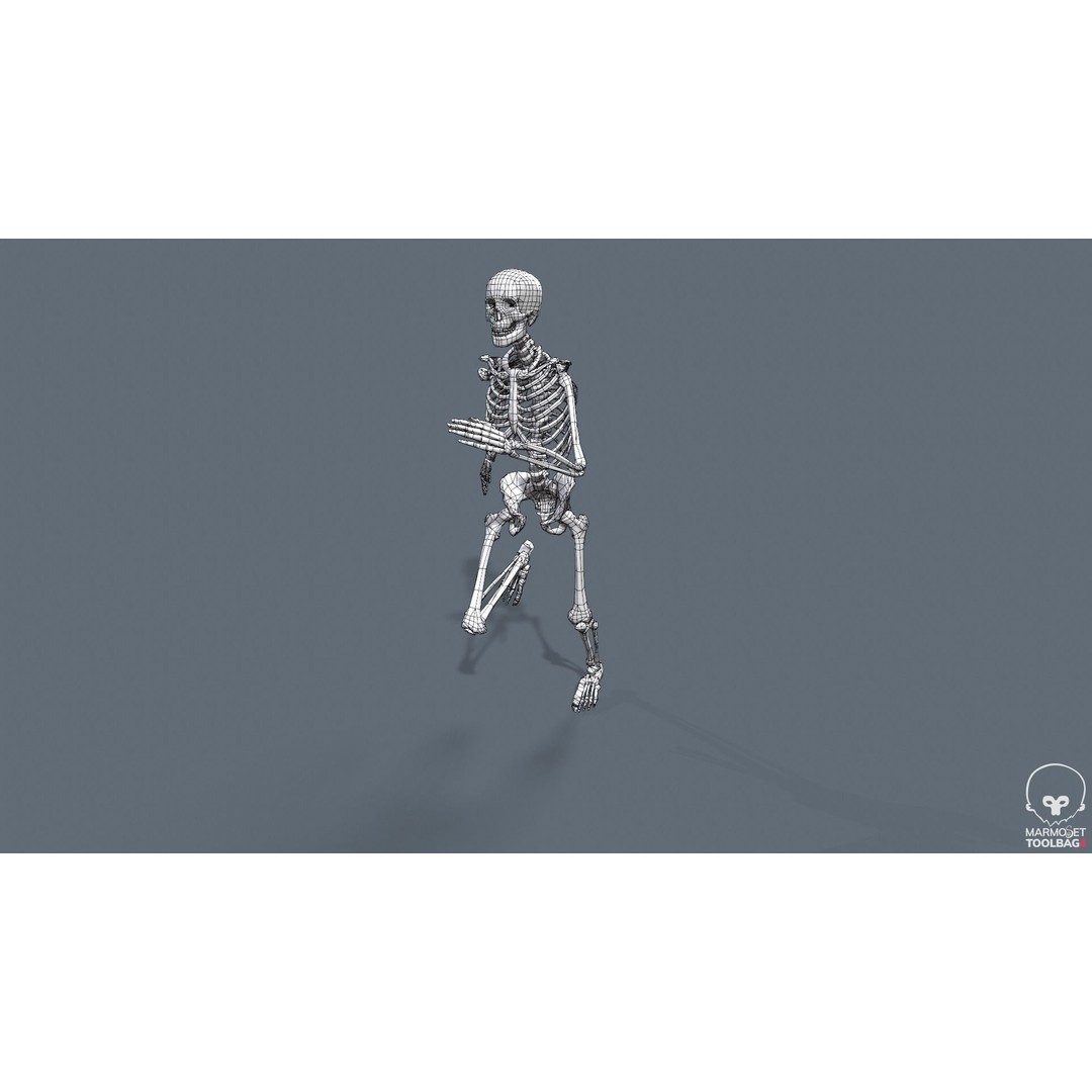 Human Skeleton 3D Model – Low Poly Game Asset, Rigged with PBR Textures - View 22