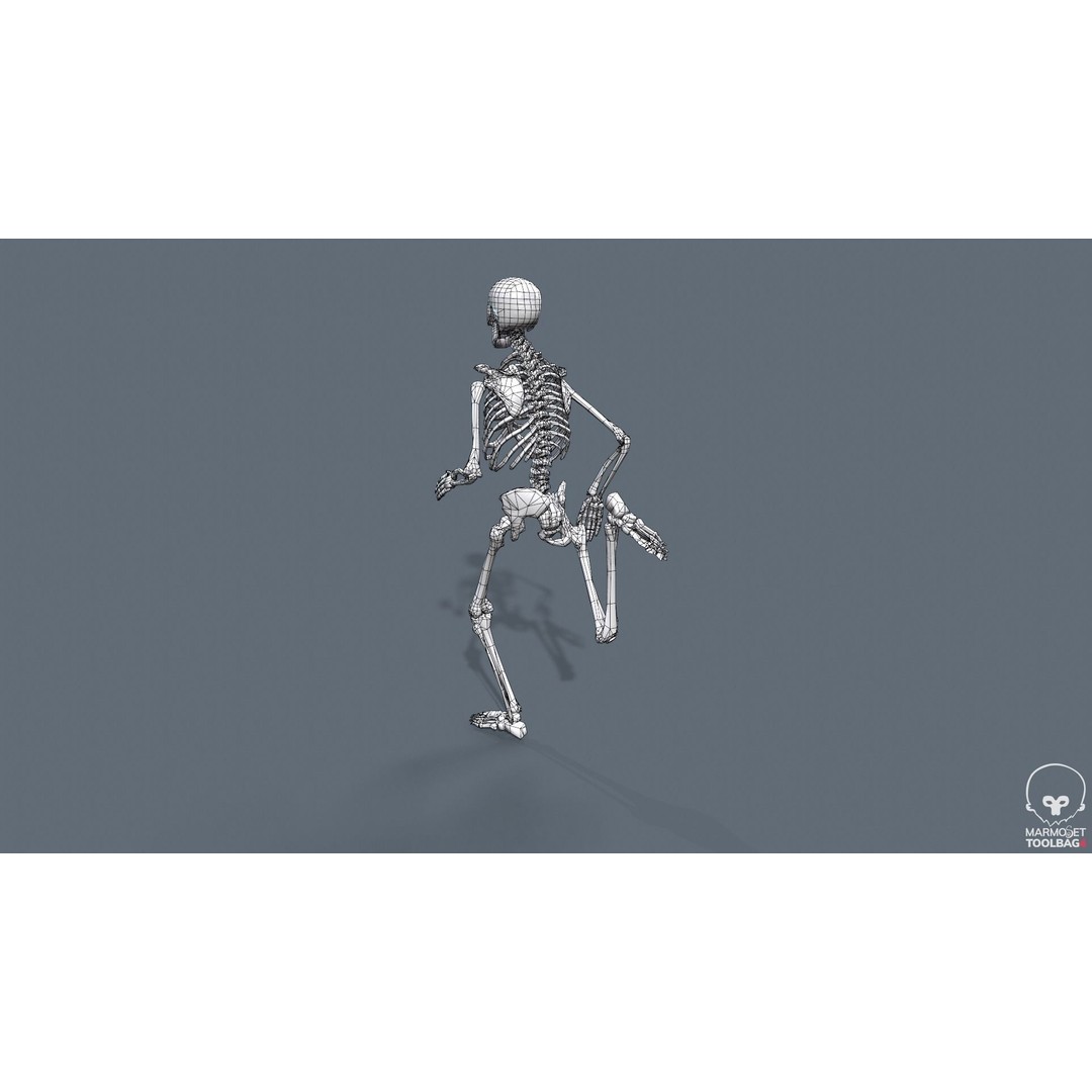 Human Skeleton 3D Model – Low Poly Game Asset, Rigged with PBR Textures - View 23