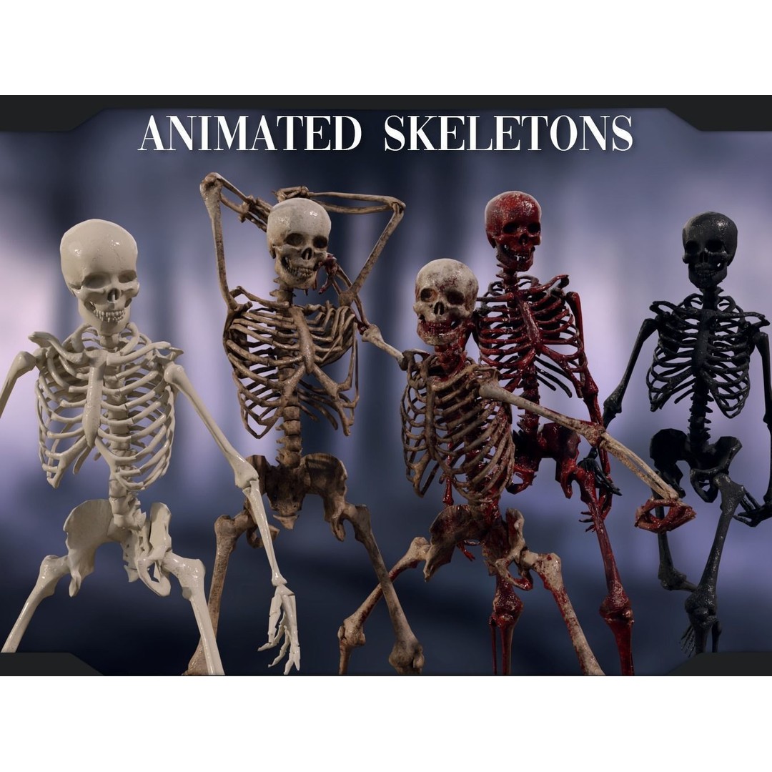 Human Skeleton 3D Model – Low Poly Game Asset, Rigged with PBR Textures - View 3
