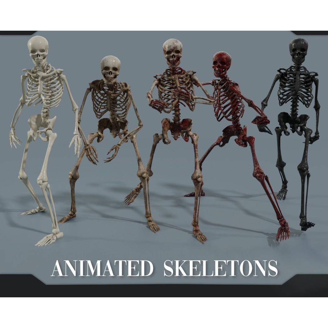 Human Skeleton 3D Model – Low Poly Game Asset, Rigged with PBR Textures - View 4