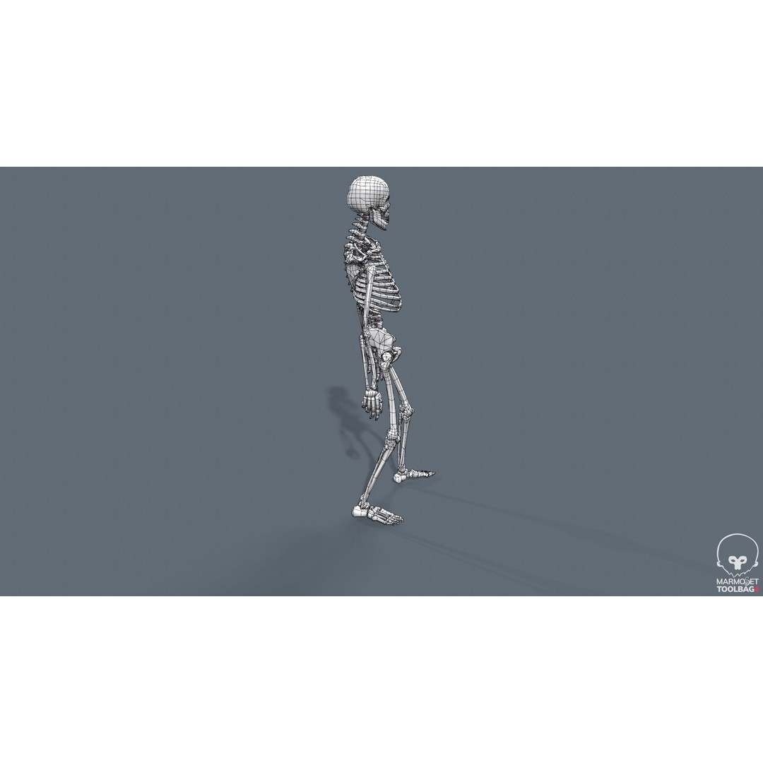 Human Skeleton 3D Model – Low Poly Game Asset, Rigged with PBR Textures - View 44