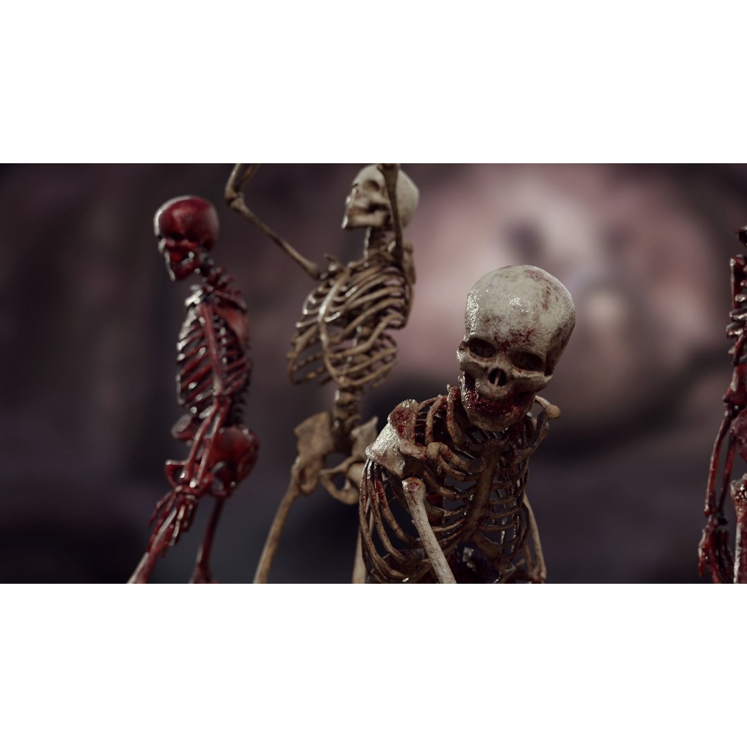 Human Skeleton 3D Model – Low Poly Game Asset, Rigged with PBR Textures - View 5