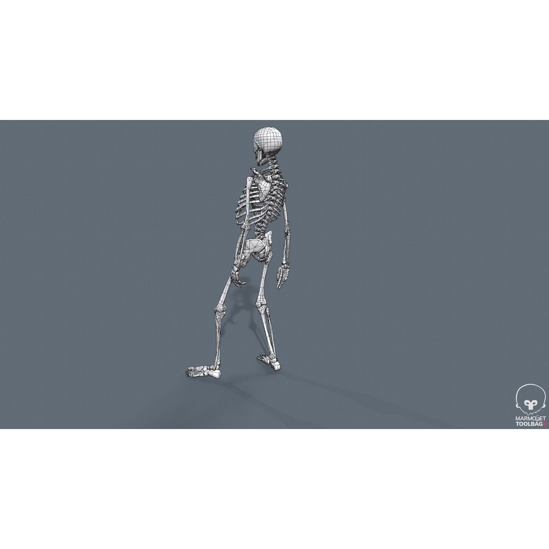 Human Skeleton 3D Model – Low Poly Game Asset, Rigged with PBR Textures - View 50