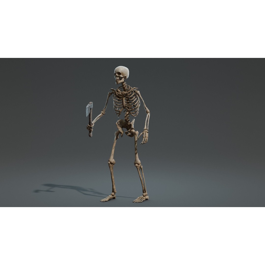 Human Skeleton 3D Model – Low Poly Game Asset, Rigged with PBR Textures - View 6