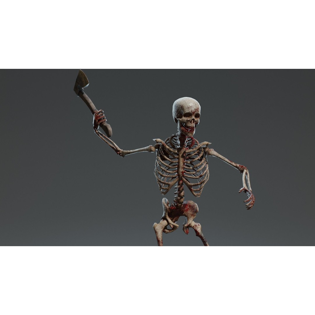Human Skeleton 3D Model – Low Poly Game Asset, Rigged with PBR Textures - View 8